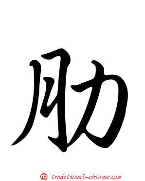 肋