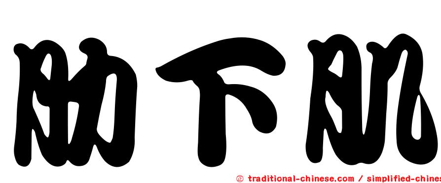 肋下肌