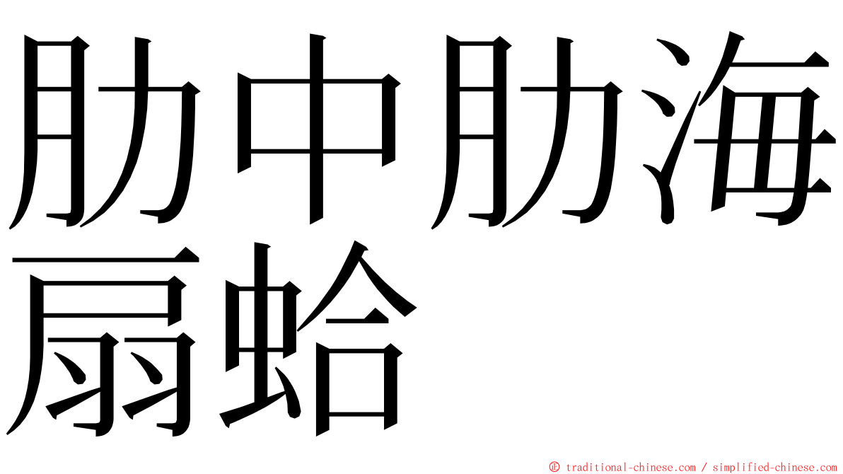 肋中肋海扇蛤 ming font