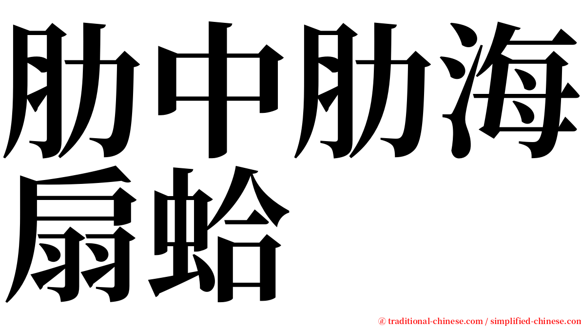 肋中肋海扇蛤 serif font