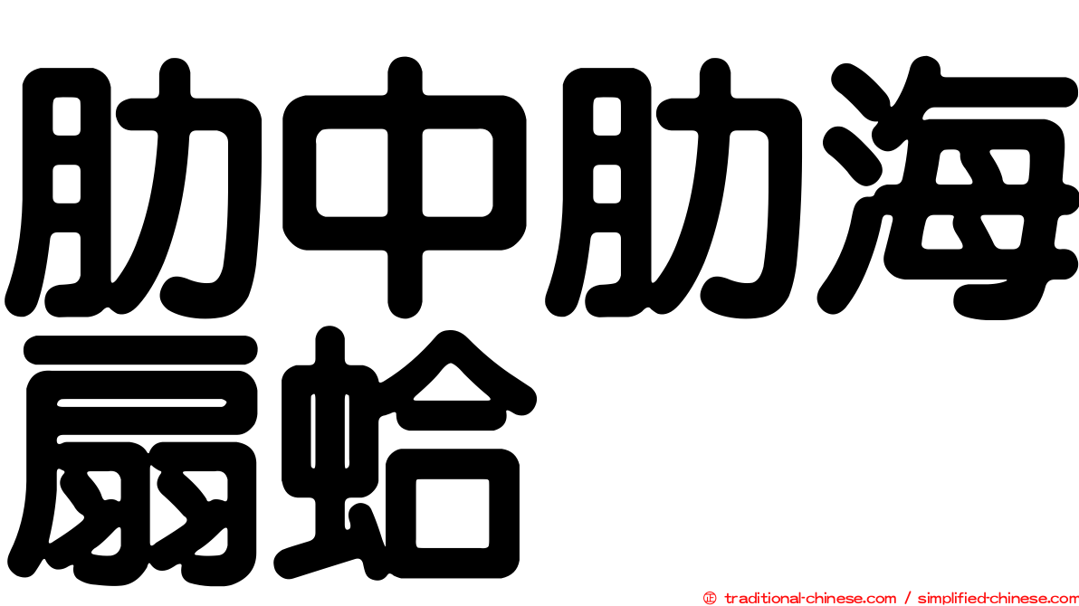 肋中肋海扇蛤