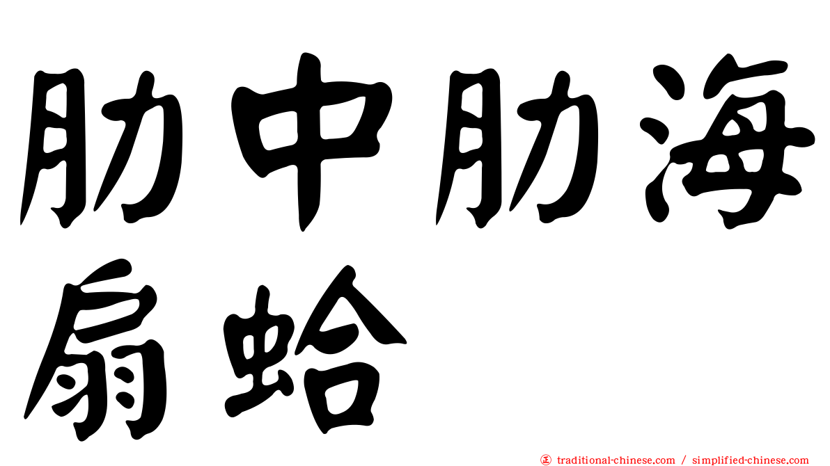 肋中肋海扇蛤