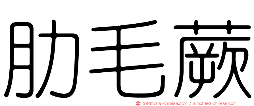 肋毛蕨