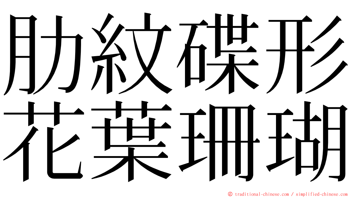 肋紋碟形花葉珊瑚 ming font