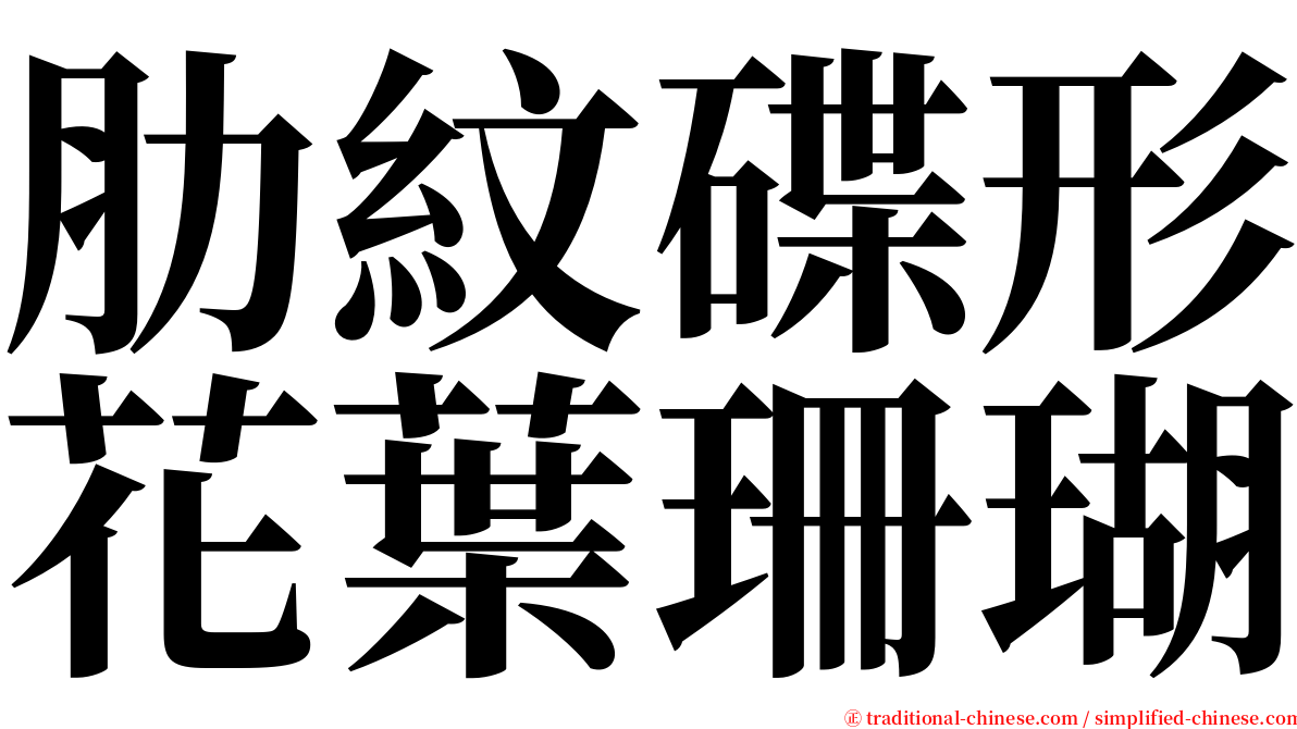 肋紋碟形花葉珊瑚 serif font