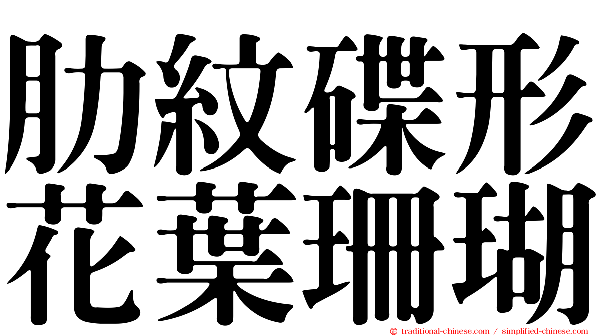 肋紋碟形花葉珊瑚