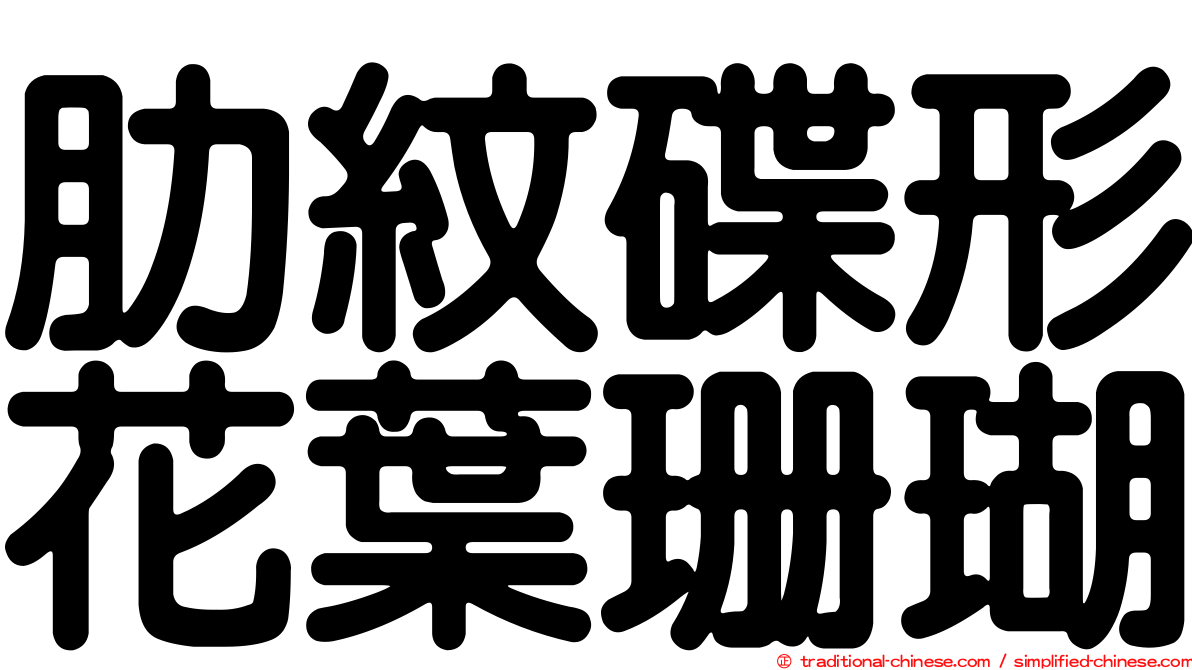 肋紋碟形花葉珊瑚