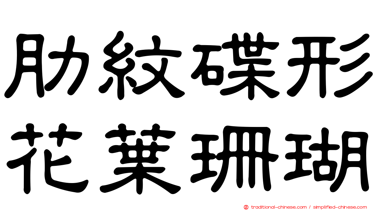 肋紋碟形花葉珊瑚