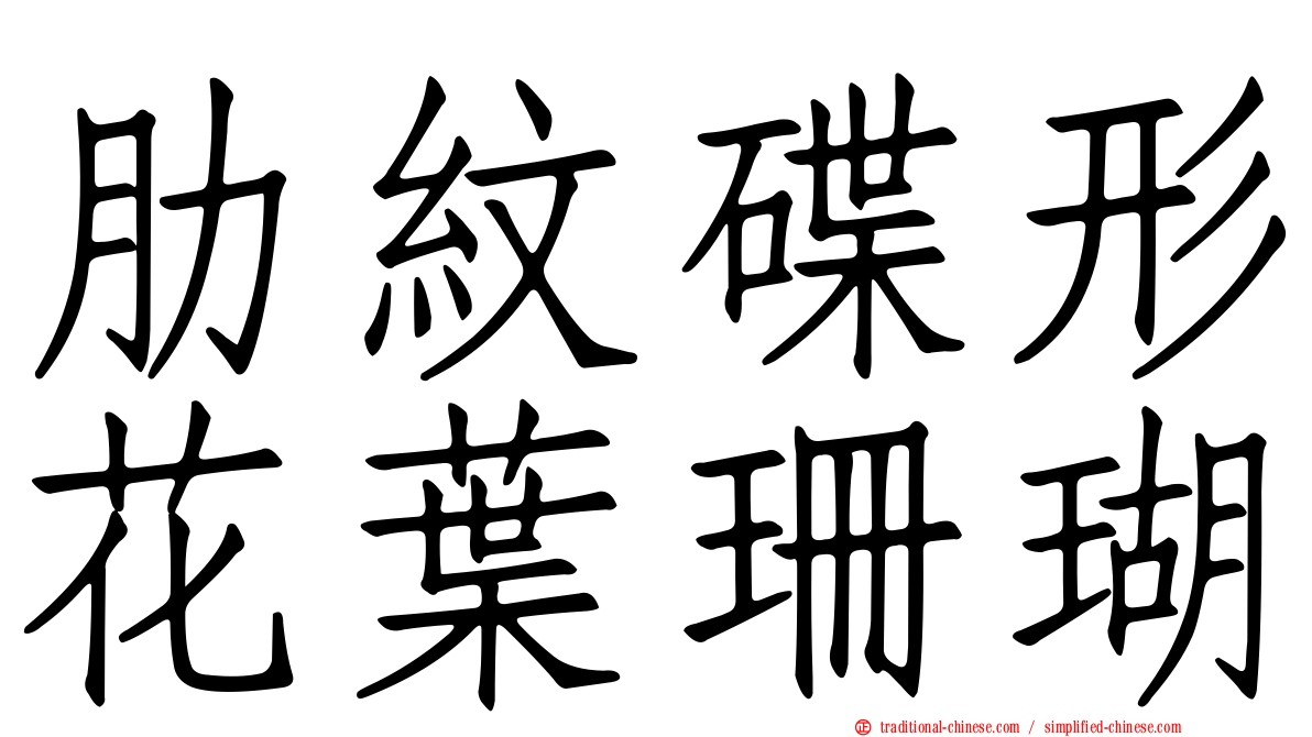 肋紋碟形花葉珊瑚