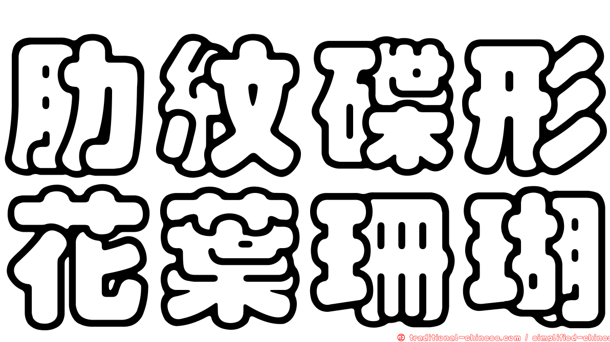 肋紋碟形花葉珊瑚