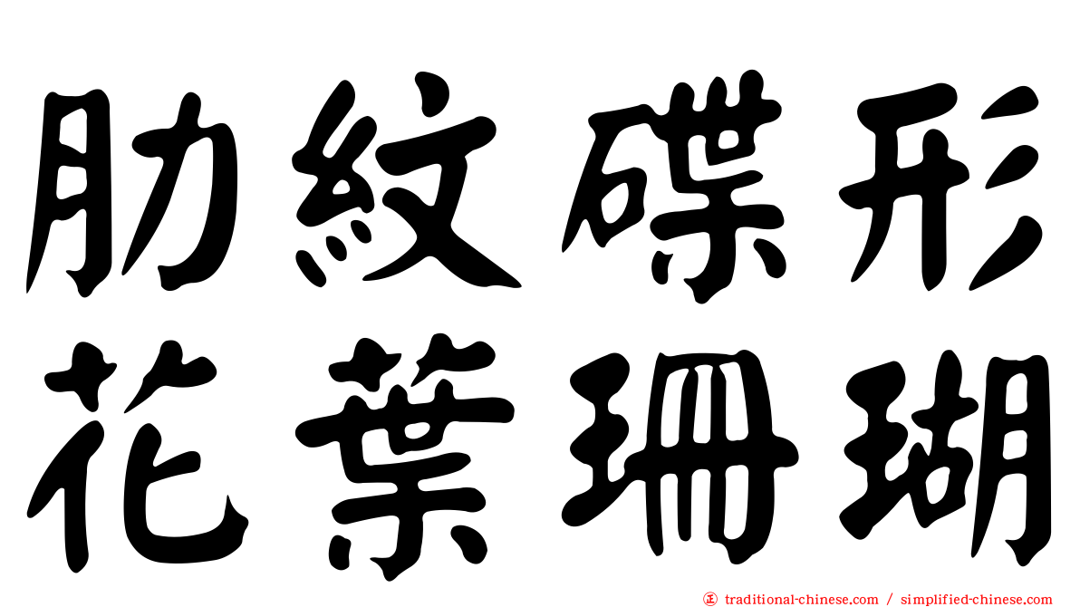 肋紋碟形花葉珊瑚