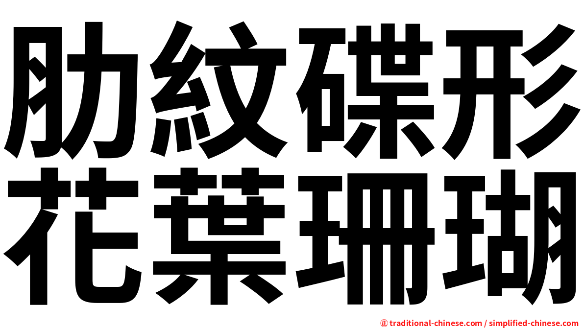 肋紋碟形花葉珊瑚