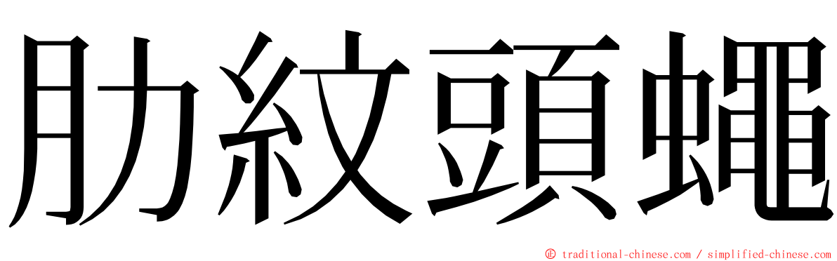 肋紋頭蠅 ming font