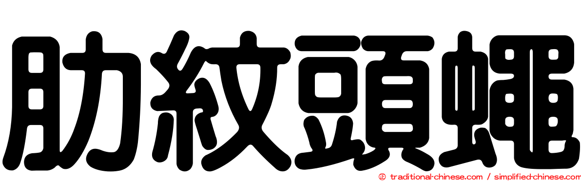 肋紋頭蠅