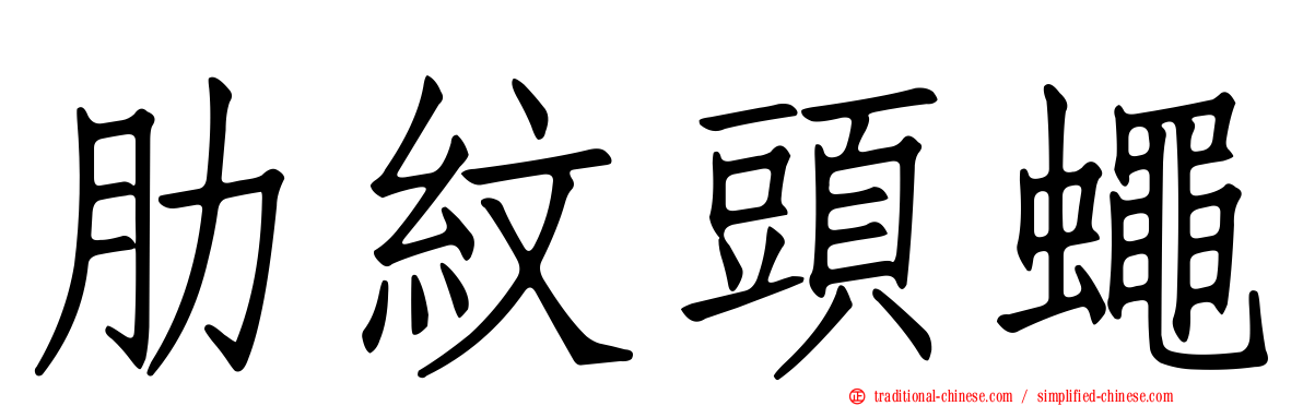 肋紋頭蠅