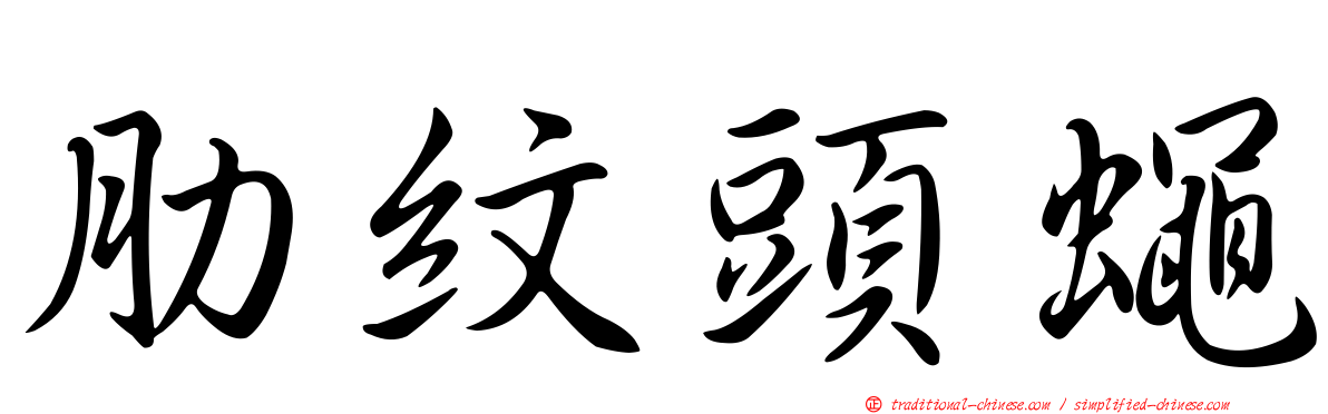 肋紋頭蠅