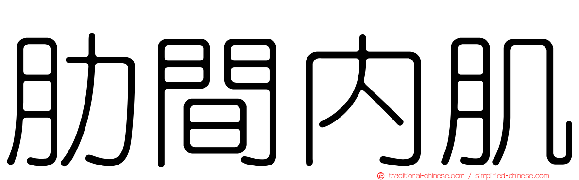肋間內肌