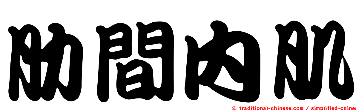 肋間內肌