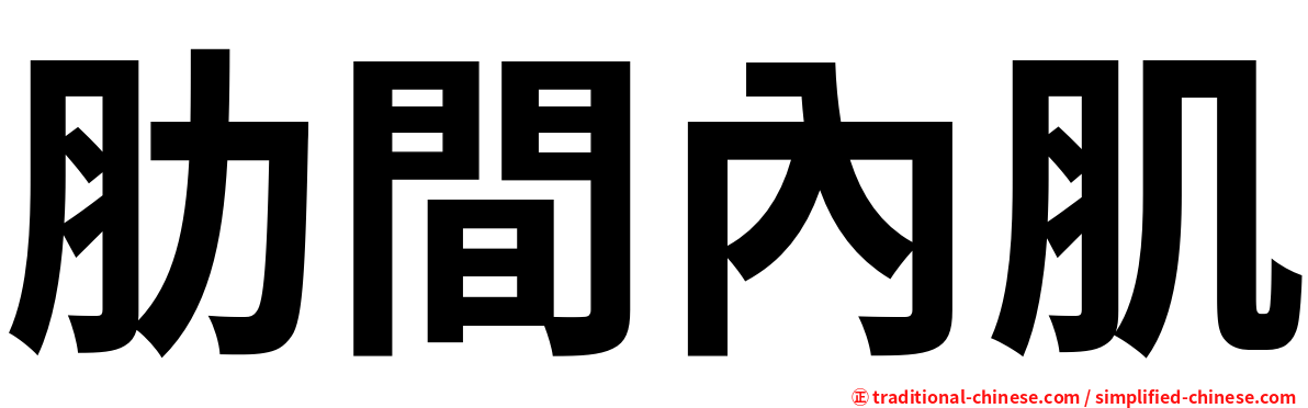 肋間內肌
