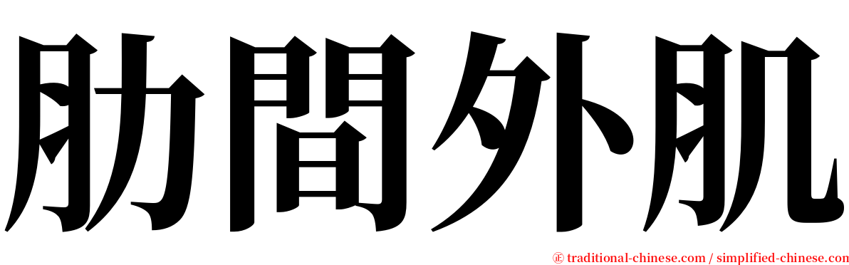 肋間外肌 serif font