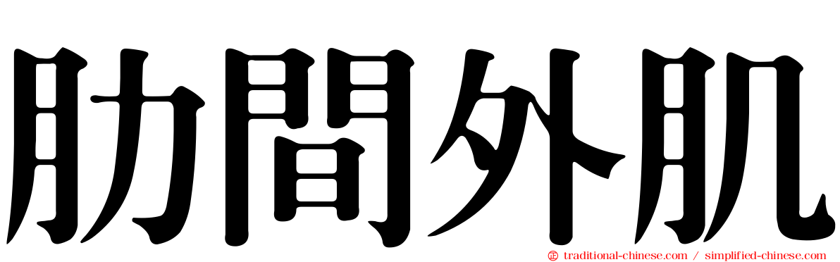 肋間外肌