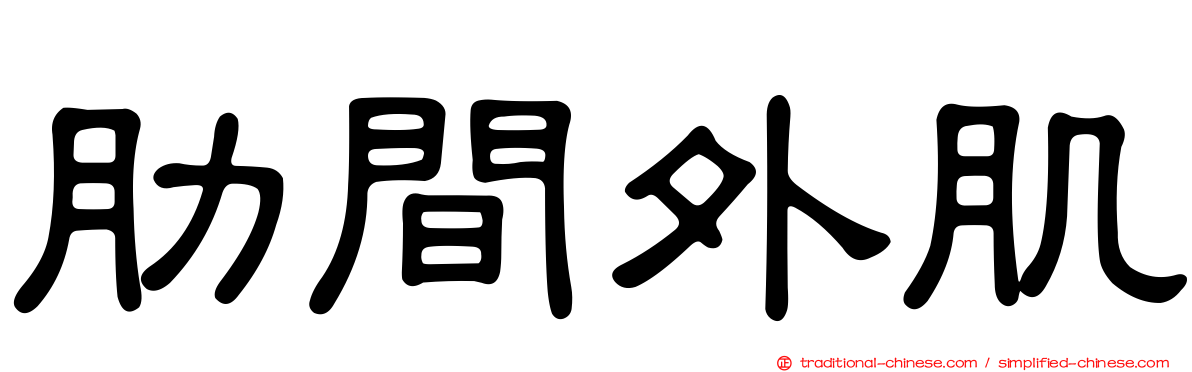 肋間外肌