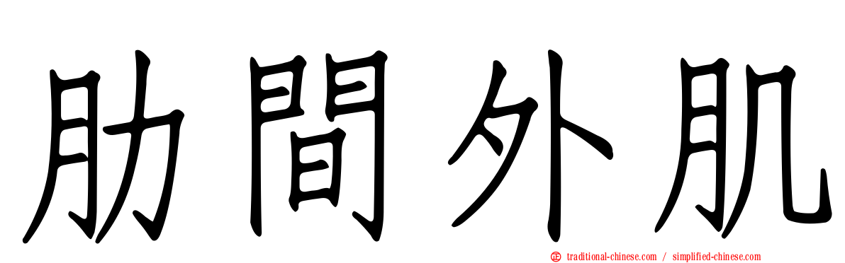 肋間外肌
