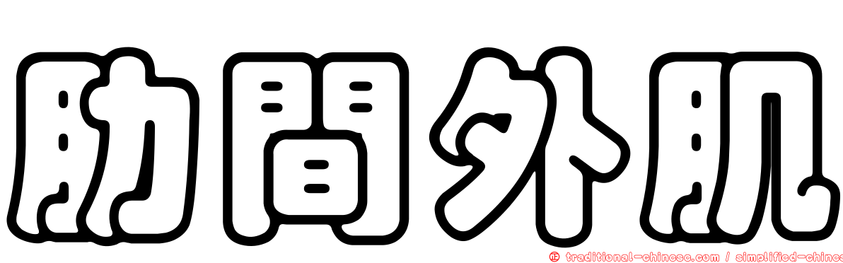 肋間外肌