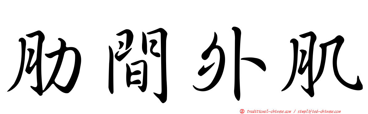 肋間外肌