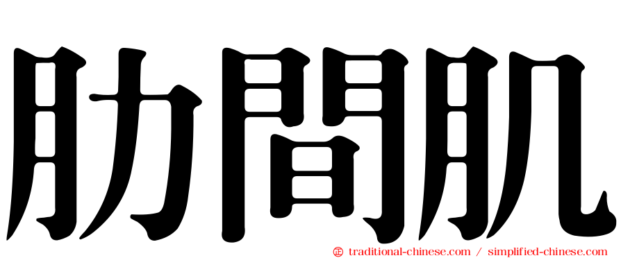 肋間肌