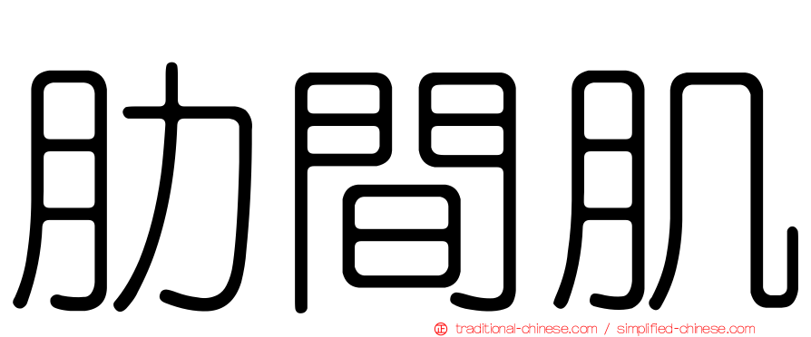 肋間肌