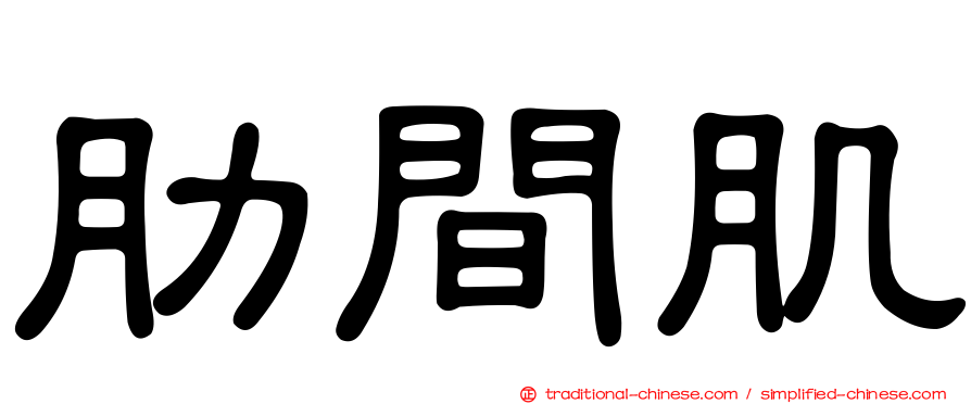 肋間肌