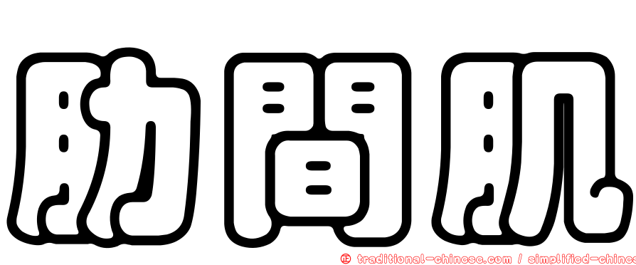 肋間肌
