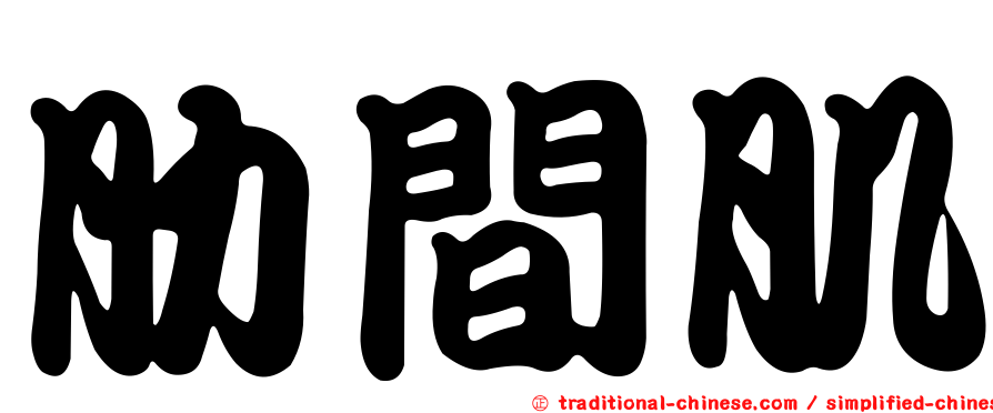 肋間肌