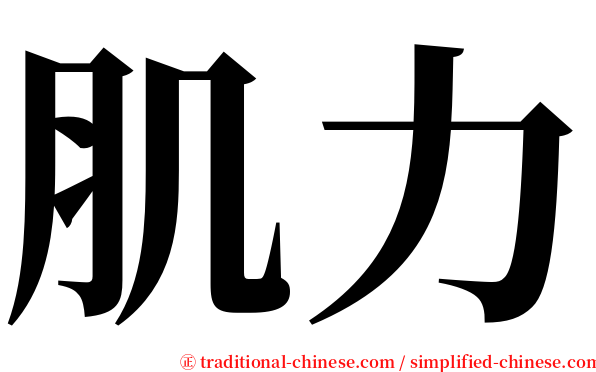 肌力 serif font