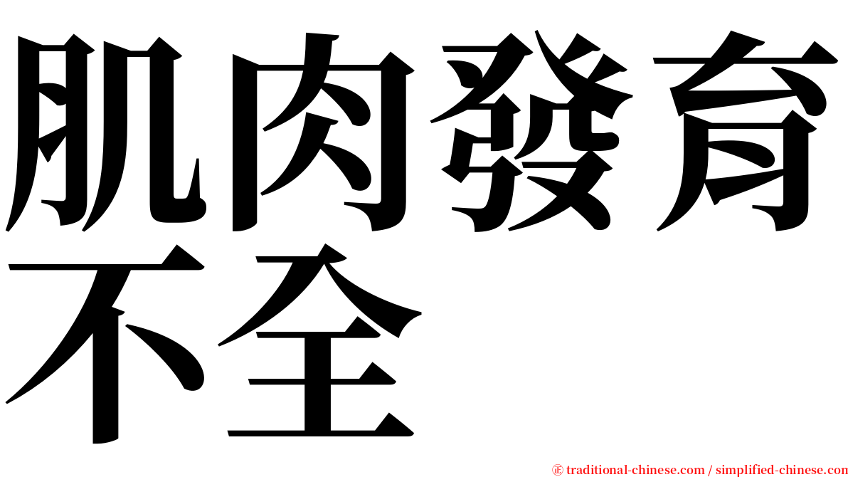 肌肉發育不全 serif font