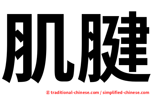 肌腱