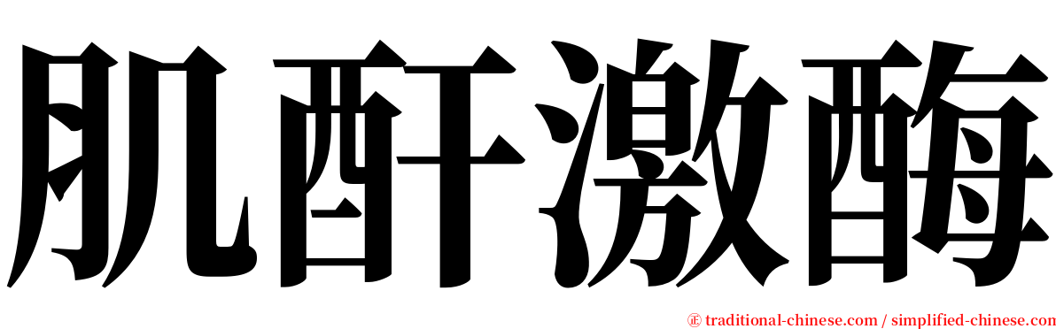 肌酐激酶 serif font