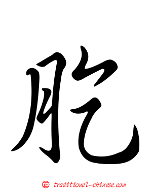 肐