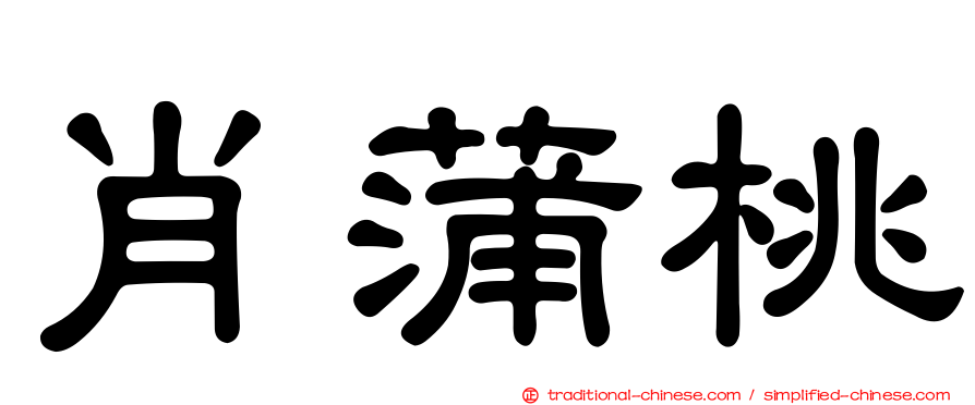 肖蒲桃