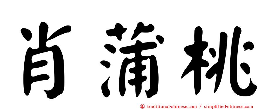 肖蒲桃