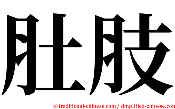 肚肢 serif font