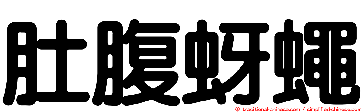 肚腹蚜蠅