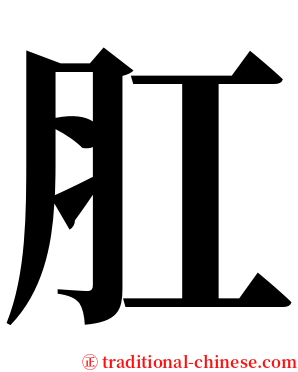 肛 serif font