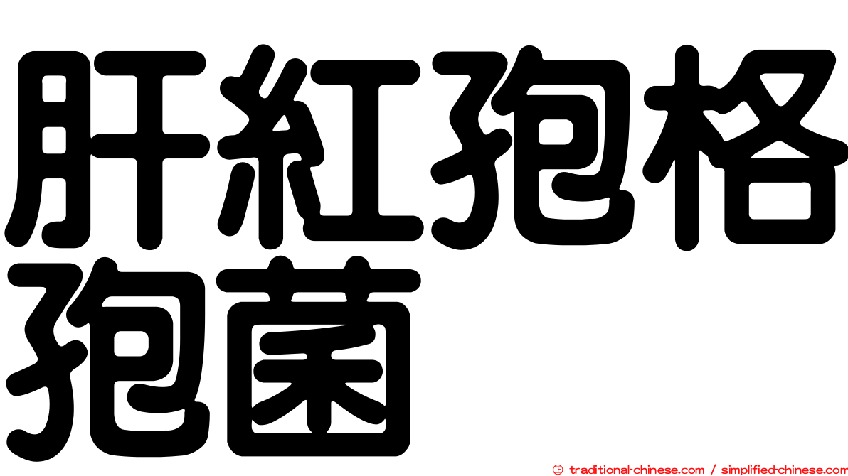 肝紅孢格孢菌