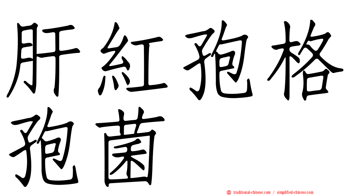 肝紅孢格孢菌