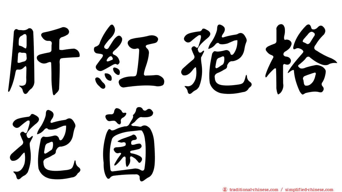 肝紅孢格孢菌