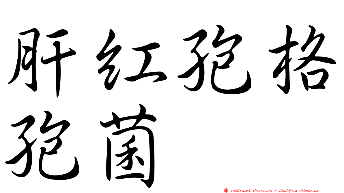 肝紅孢格孢菌