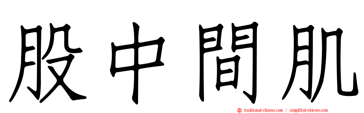 股中間肌