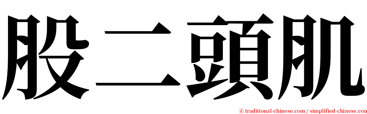 股二頭肌 serif font